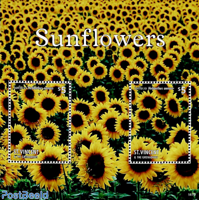 Sunflowers s/s