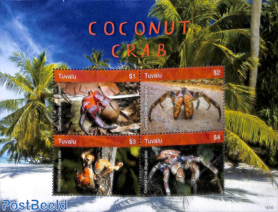 Coconut Crabs 4v m/s