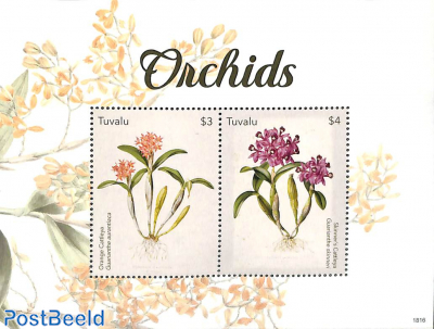 Orchids 2v m/s