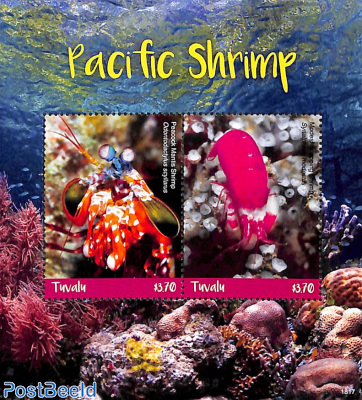 Pacific shrimp 2v m/s