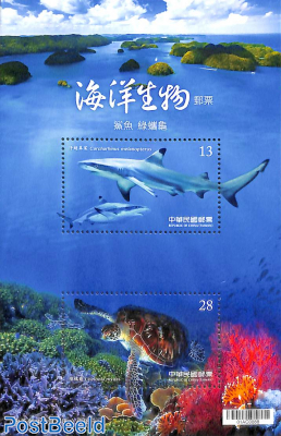 Shark and Turtle s/s