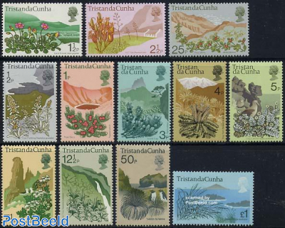 Definitives, Local Flora 12v