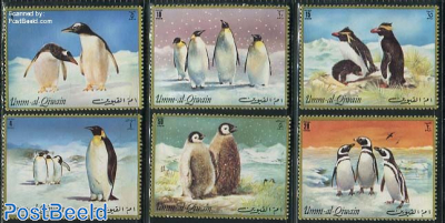 Penguin 6v