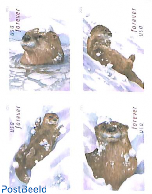 Otters in snow 2x4v, double sided