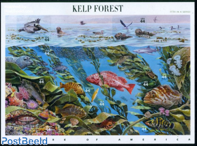 Kelp forest 10v m/s