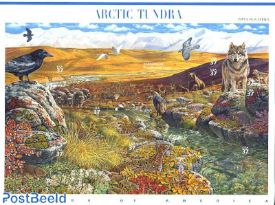 Arctic tundra 10v m/s