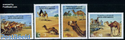 Camels 4v