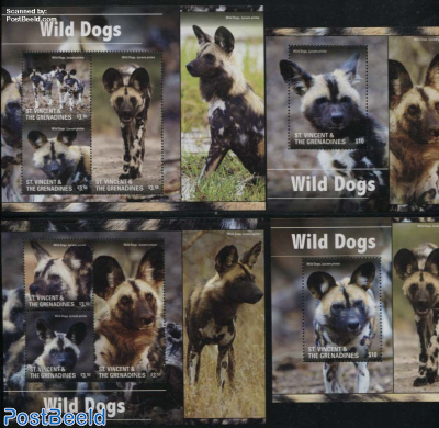 Wild Dogs 4 s/s