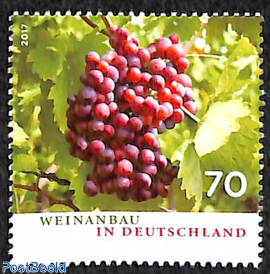 Winery in Germany 1v