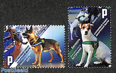 Service dogs of Customs 2v