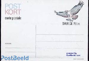 Postcard 0.75, Fish eagle