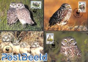 WWF, owls 4v